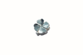 LUCKY CHARM, silver