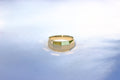DISCO RING